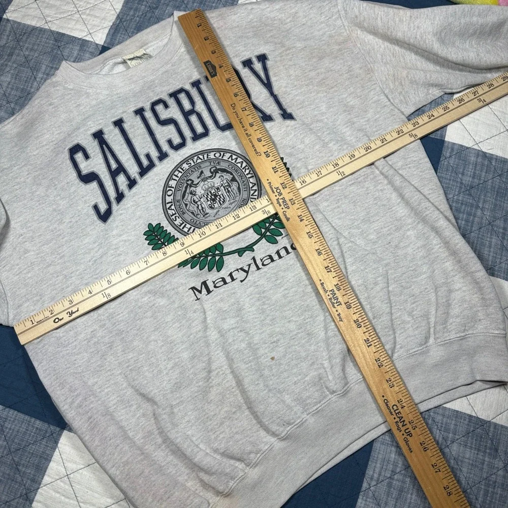 Vintage 1987 Salisbury Maryland Sweatshirt XL Gray My Town Originals Made in USA
